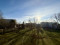 Ausblick